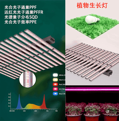 植物照明灯具的光谱及光合光子通量测量