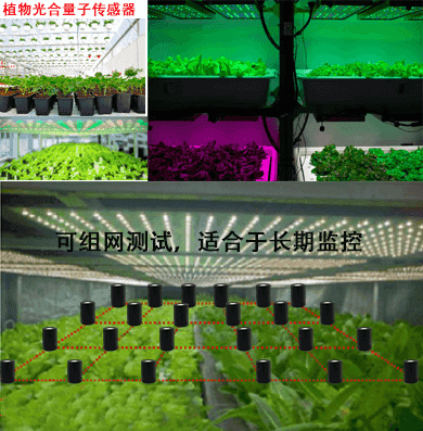 植物光量子监控探头